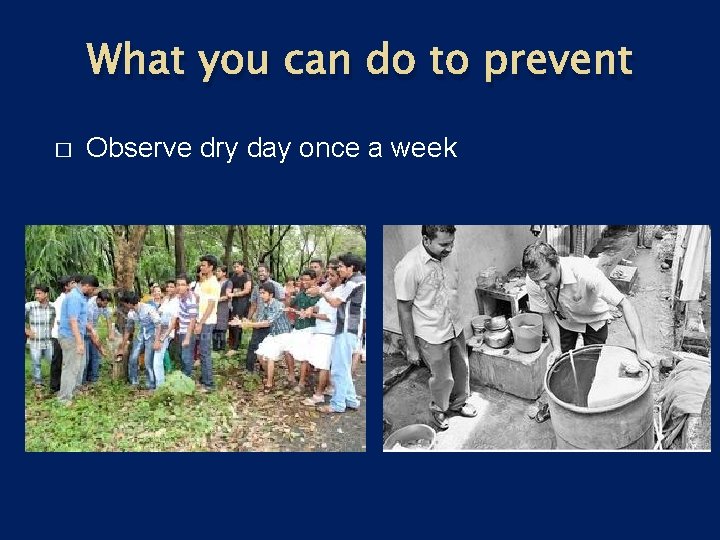 What you can do to prevent � Observe dry day once a week 