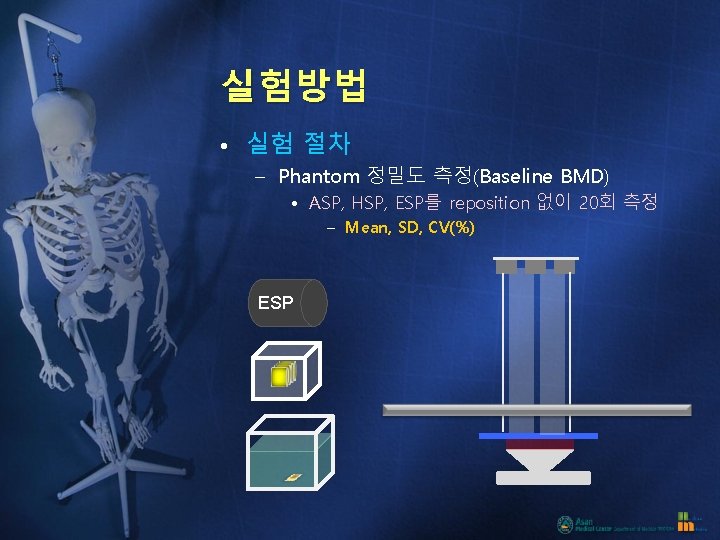 실험방법 • 실험 절차 – Phantom 정밀도 측정(Baseline BMD) • ASP, HSP, ESP를 reposition