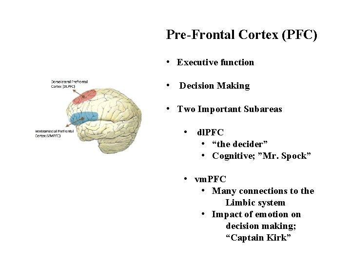 Pre-Frontal Cortex (PFC) • Executive function • Decision Making • Two Important Subareas •