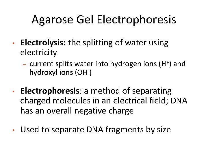 Agarose Gel Electrophoresis • Electrolysis: the splitting of water using electricity – • •