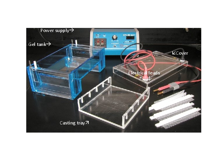 Electrophoresis Equipment Power supply Gel tank Cover Electrical leads Casting tray Gel combs 