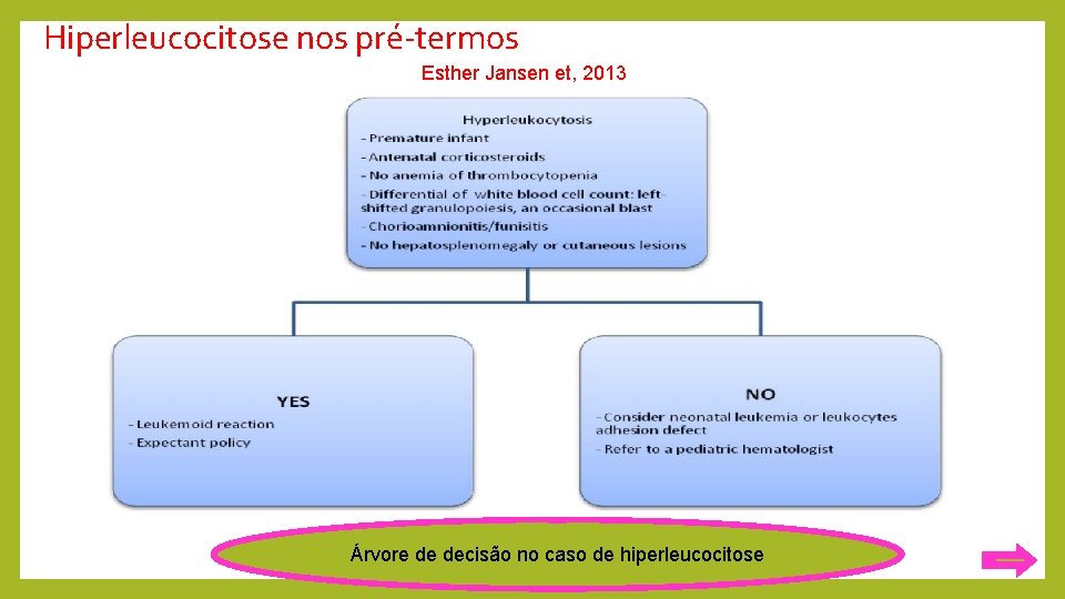 Hiperleucocitose nos pré-termos Esther Jansen et, 2013 Árvore de decisão no caso de hiperleucocitose