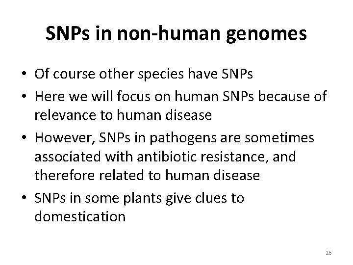 SNPs in non-human genomes • Of course other species have SNPs • Here we