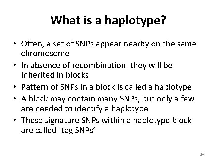 What is a haplotype? • Often, a set of SNPs appear nearby on the