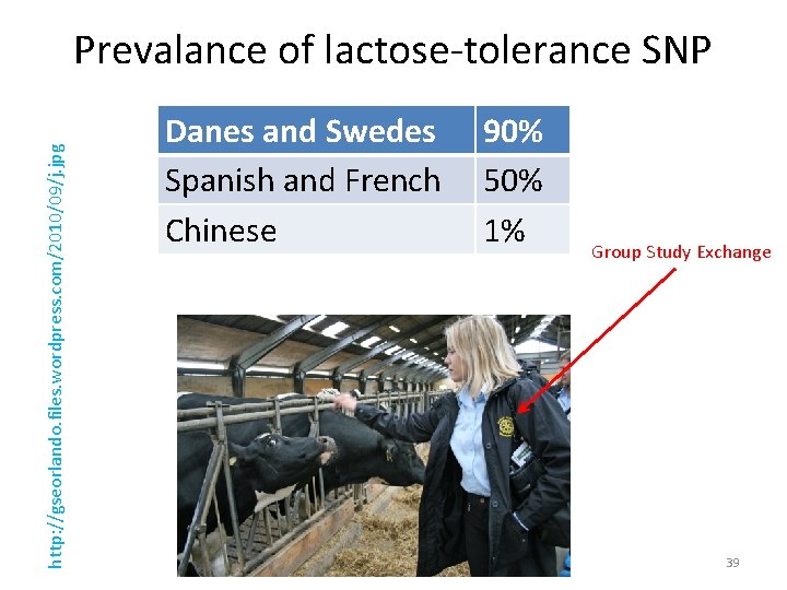 http: //gseorlando. files. wordpress. com/2010/09/j. jpg Prevalance of lactose-tolerance SNP Danes and Swedes Spanish