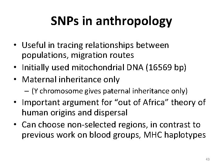 SNPs in anthropology • Useful in tracing relationships between populations, migration routes • Initially