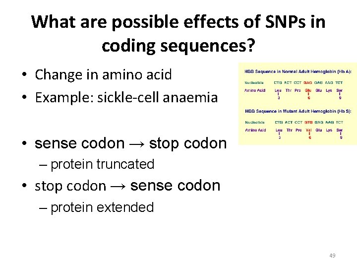 What are possible effects of SNPs in coding sequences? • Change in amino acid