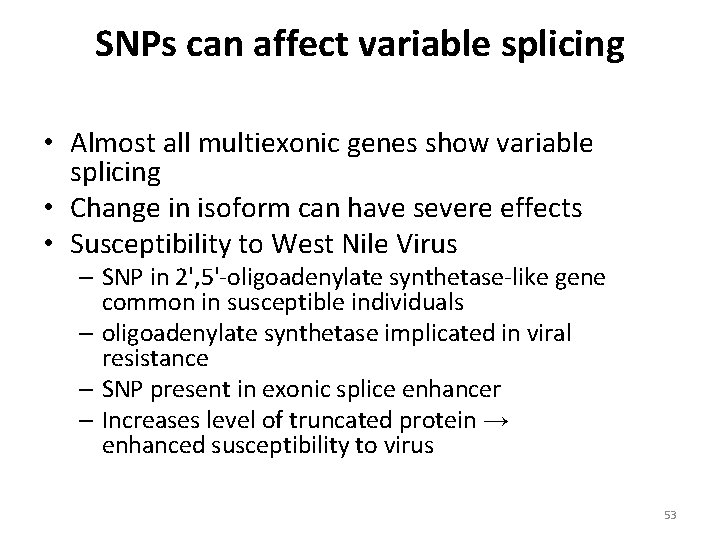 SNPs can affect variable splicing • Almost all multiexonic genes show variable splicing •