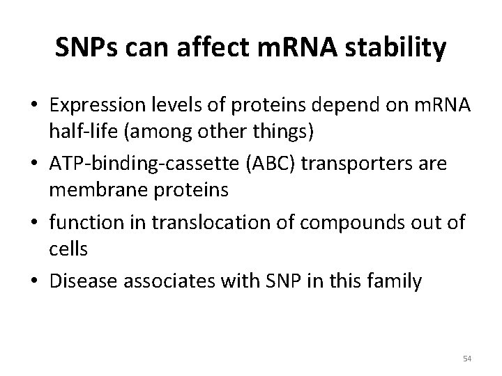 SNPs can affect m. RNA stability • Expression levels of proteins depend on m.