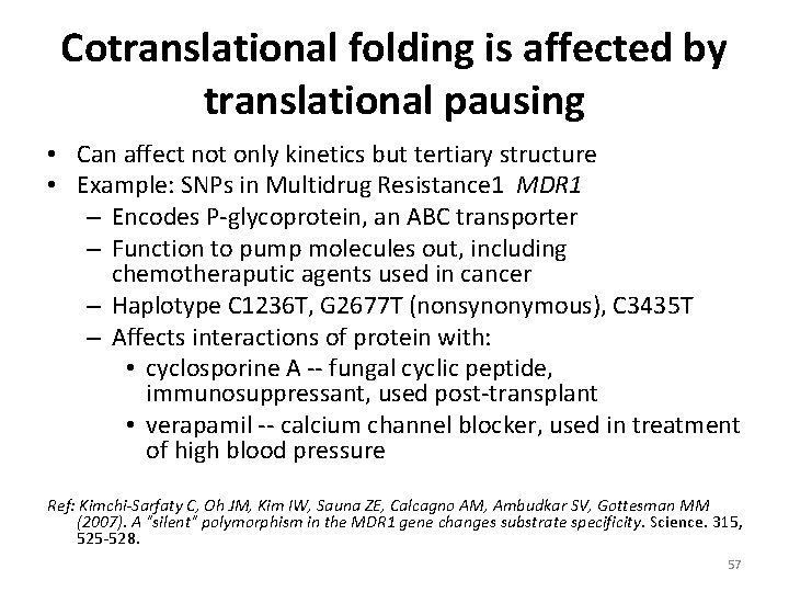 Cotranslational folding is affected by translational pausing • Can affect not only kinetics but