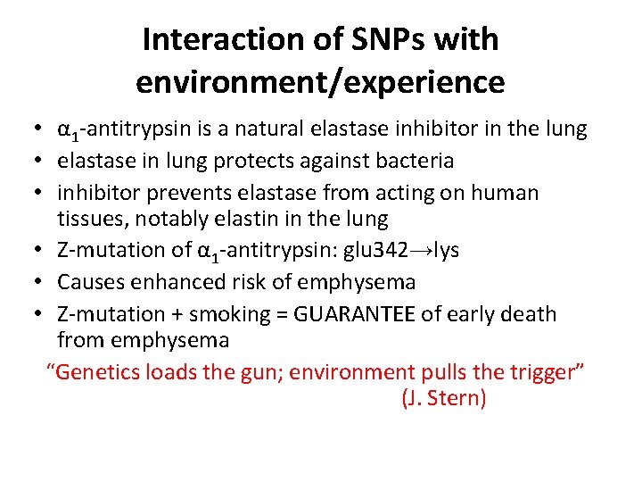 Interaction of SNPs with environment/experience • α 1 -antitrypsin is a natural elastase inhibitor