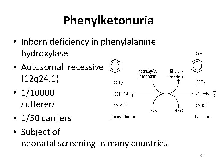Phenylketonuria • Inborn deficiency in phenylalanine hydroxylase • Autosomal recessive (12 q 24. 1)