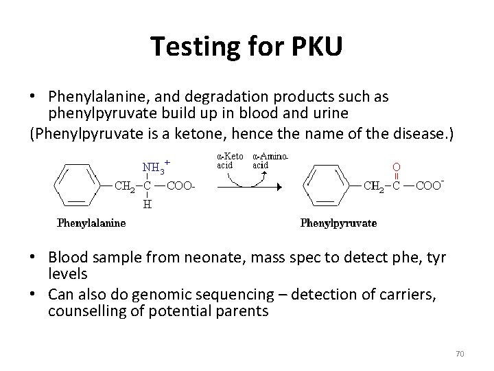 Testing for PKU • Phenylalanine, and degradation products such as phenylpyruvate build up in