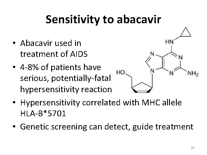 Sensitivity to abacavir • Abacavir used in treatment of AIDS • 4 -8% of