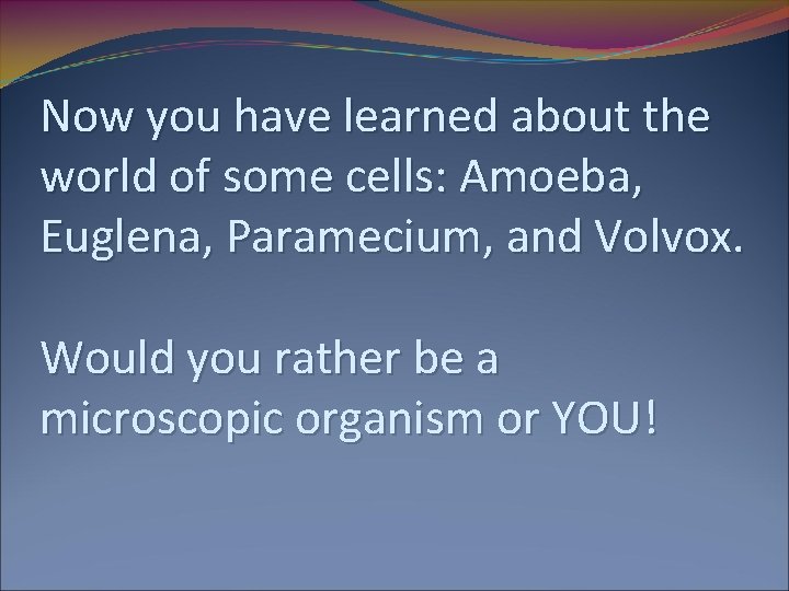 Now you have learned about the world of some cells: Amoeba, Euglena, Paramecium, and