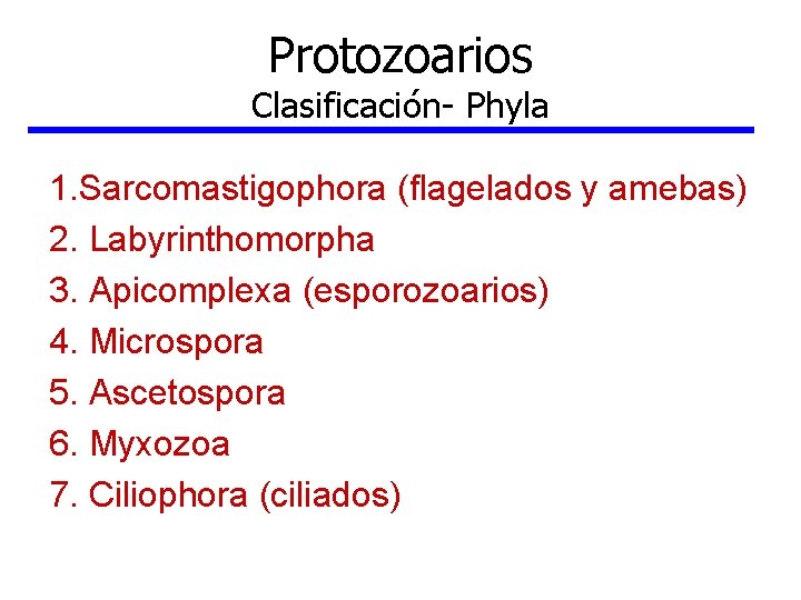 Protozoarios Clasificación- Phyla 1. Sarcomastigophora (flagelados y amebas) 2. Labyrinthomorpha 3. Apicomplexa (esporozoarios) 4.