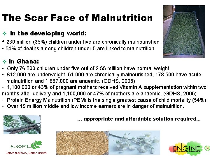 The Scar Face of Malnutrition v In the developing world: • 230 million (39%)