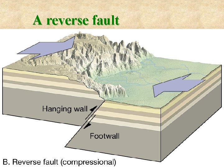 A reverse fault 