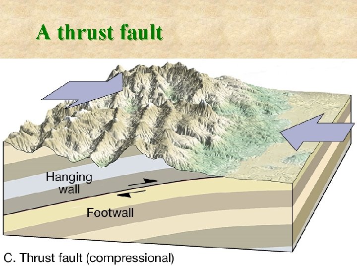 A thrust fault 