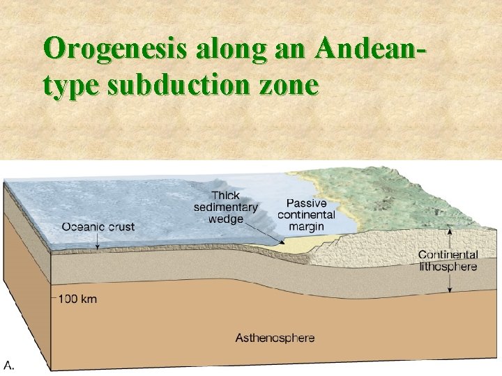 Orogenesis along an Andeantype subduction zone 