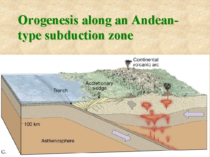 Orogenesis along an Andeantype subduction zone 