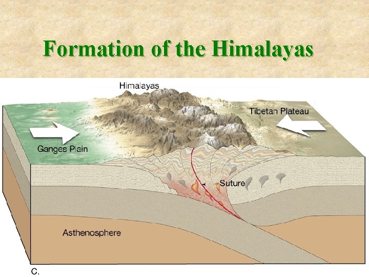 Formation of the Himalayas 