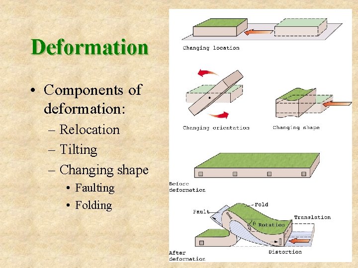 Deformation • Components of deformation: – Relocation – Tilting – Changing shape • Faulting