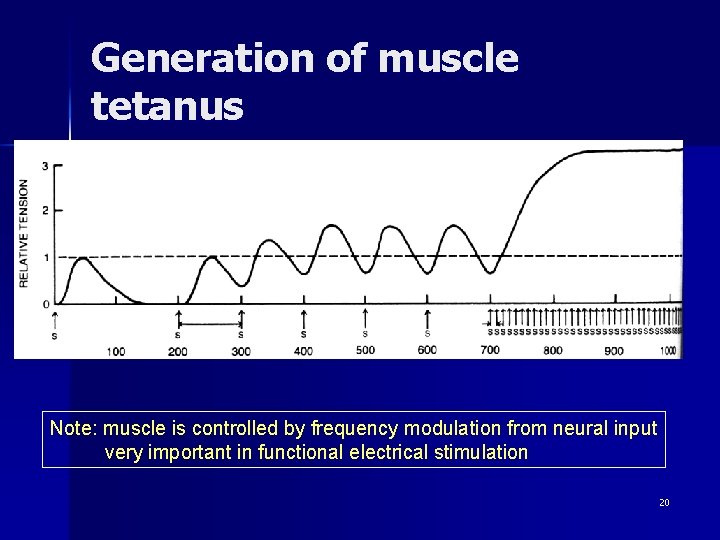 Generation of muscle tetanus 100 Hz 10 Hz Note: muscle is controlled by frequency