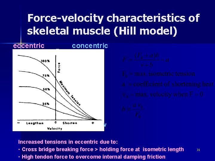 Force-velocity characteristics of skeletal muscle (Hill model) eccentric F concentric v Increased tensions in
