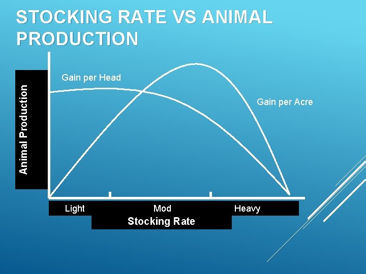 STOCKING RATE VS ANIMAL PRODUCTION Animal Production Gain per Head Gain per Acre Light