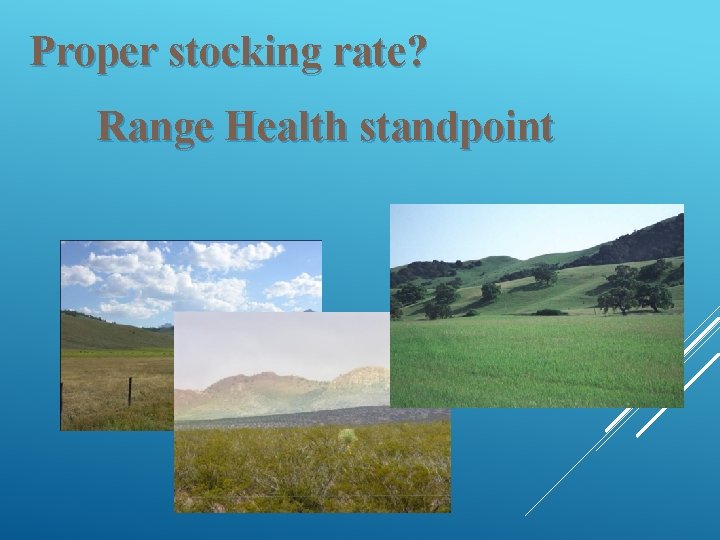 Proper stocking rate? Range Health standpoint 