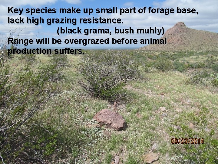 Key species make up small part of forage base, lack high grazing resistance. (black