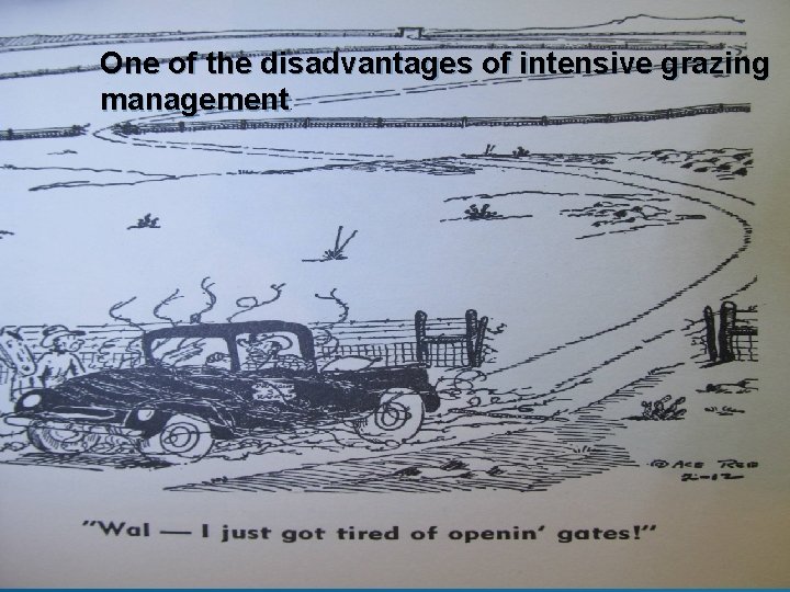 One of the disadvantages of intensive grazing management. 