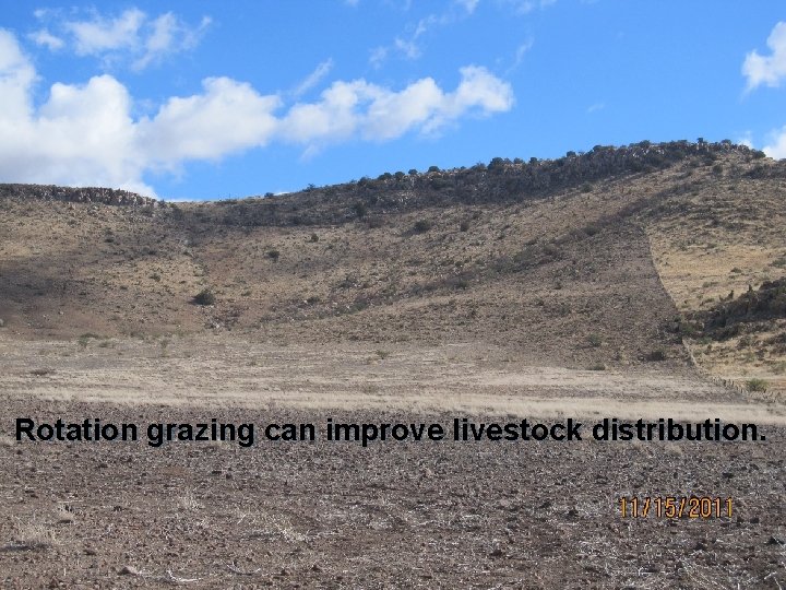 Rotation grazing can improve livestock distribution. 