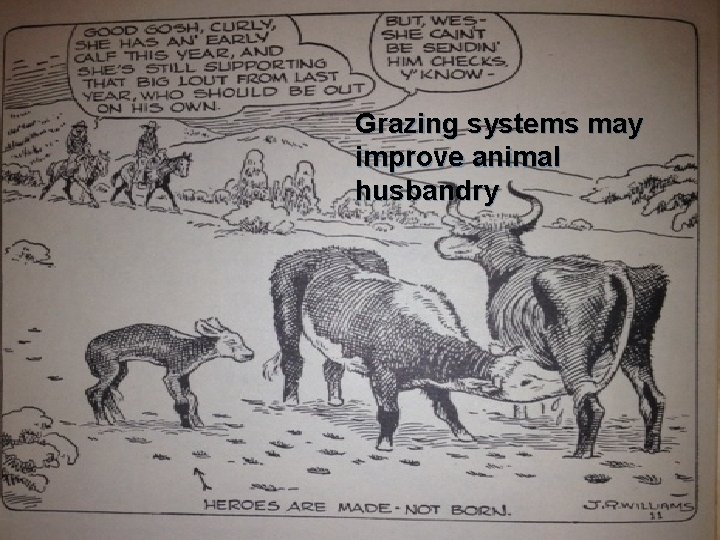 Grazing systems may improve animal husbandry 