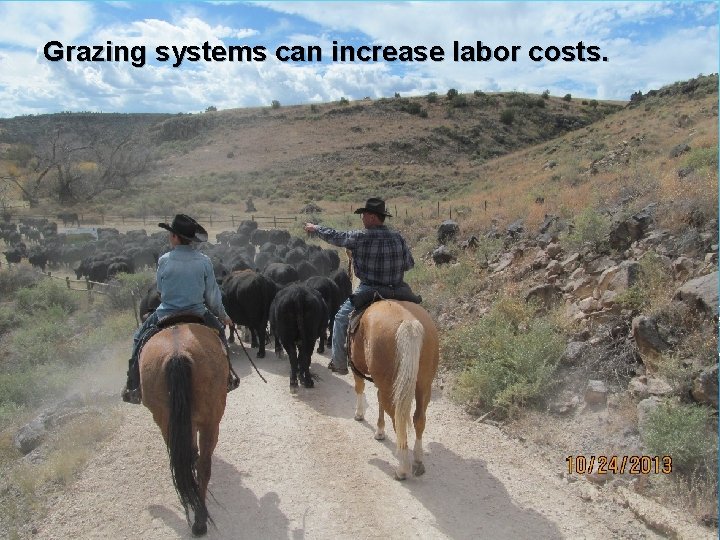 Grazing systems can increase labor costs. 