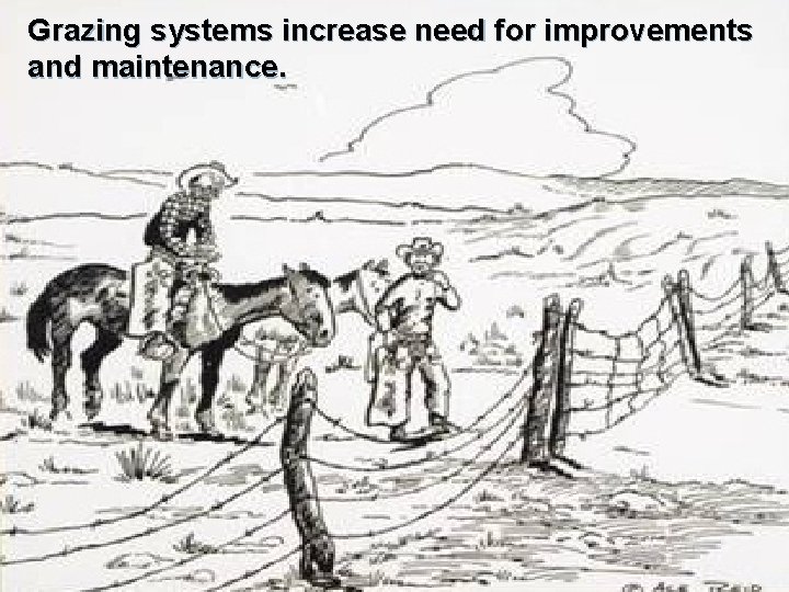 Grazing systems increase need for improvements and maintenance. 