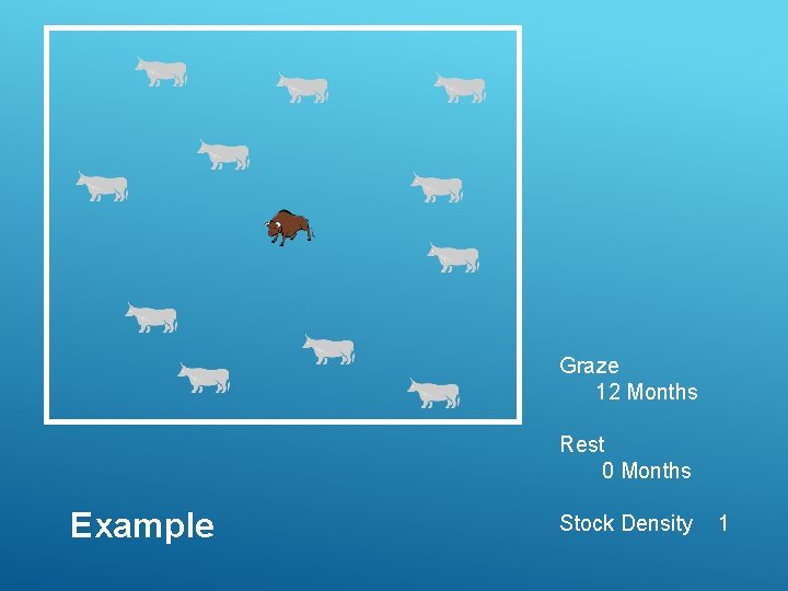 Graze 12 Months Rest 0 Months Example Stock Density 1 