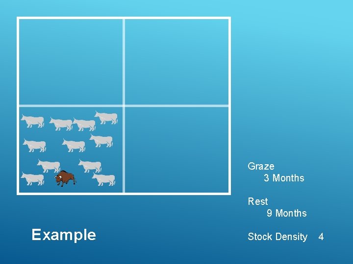 Graze 3 Months Rest 9 Months Example Stock Density 4 