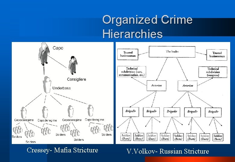 Organized Crime Hierarchies Cressey- Mafia Stricture V. Volkov- Russian Stricture 