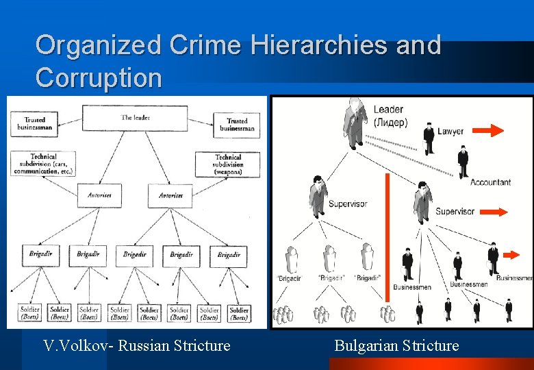 Organized Crime Hierarchies and Corruption V. Volkov- Russian Stricture Bulgarian Stricture 