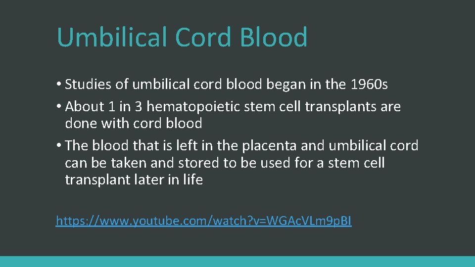 Umbilical Cord Blood • Studies of umbilical cord blood began in the 1960 s