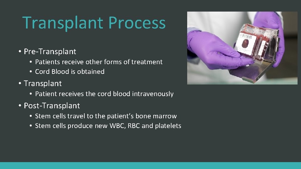 Transplant Process • Pre-Transplant • Patients receive other forms of treatment • Cord Blood