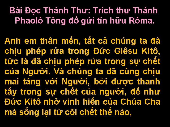 Bài Ðọc Thánh Thư: Trích thư Thánh Phaolô Tông đồ gửi tín hữu Rôma.