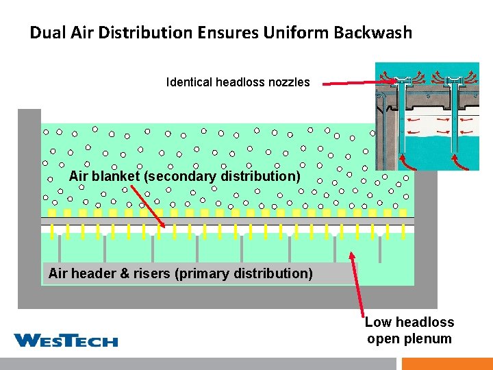 Dual Air Distribution Ensures Uniform Backwash Identical headloss nozzles Air blanket (secondary distribution) Air
