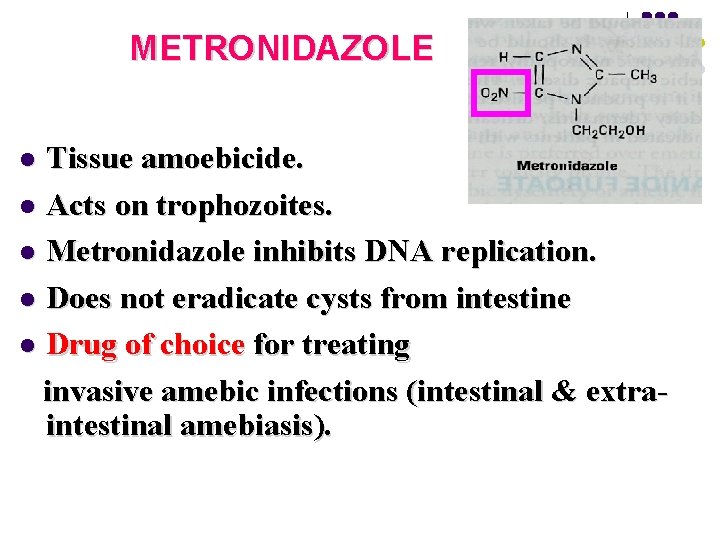 METRONIDAZOLE Tissue amoebicide. l Acts on trophozoites. l Metronidazole inhibits DNA replication. l Does