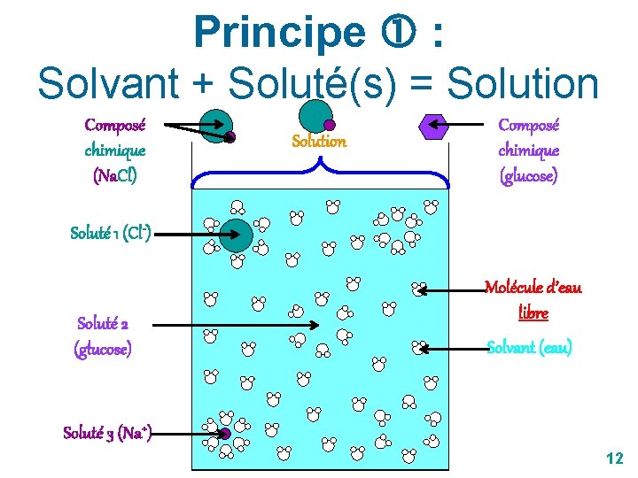 Principe : Solvant + Soluté(s) = Solution Composé chimique (Na. Cl) Solution Composé chimique