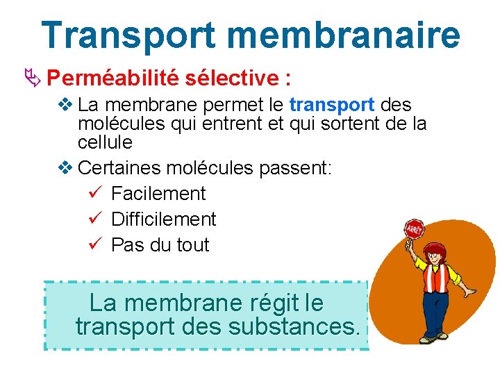 Transport membranaire Perméabilité sélective : v La membrane permet le transport des molécules qui