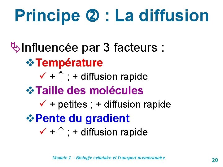 Principe : La diffusion Influencée par 3 facteurs : v. Température ü + ;