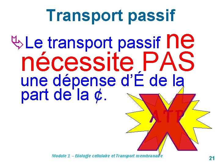 Transport passif ne nécessite PAS Le transport passif une dépense d’É de la part